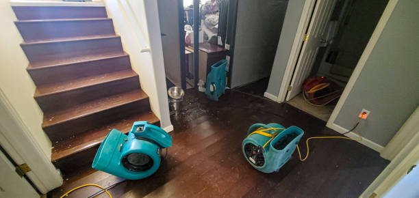 Reliable Sterling City, TX Water damage restoration Solutions