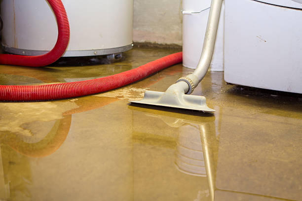 Best Water damage contractors near me  in Sterling City, TX