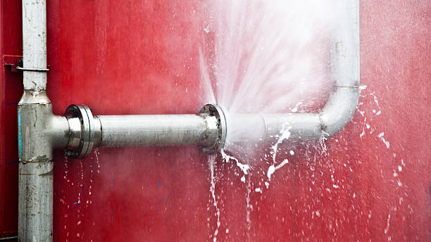 Best Flood restoration services  in Sterling City, TX